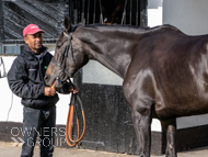 NH051025-25 - Ile de Jersey